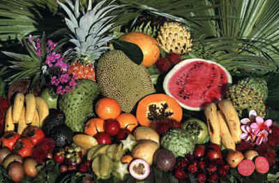 熱帶水果風(fēng)味巡禮 從常見珍品到異國(guó)奇遇